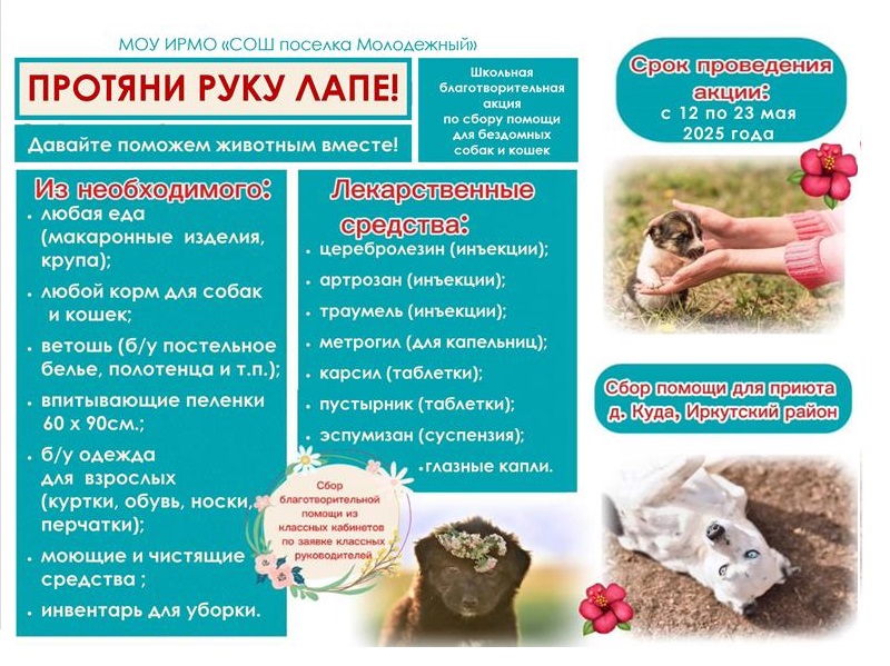 Протяни руку лапе!.